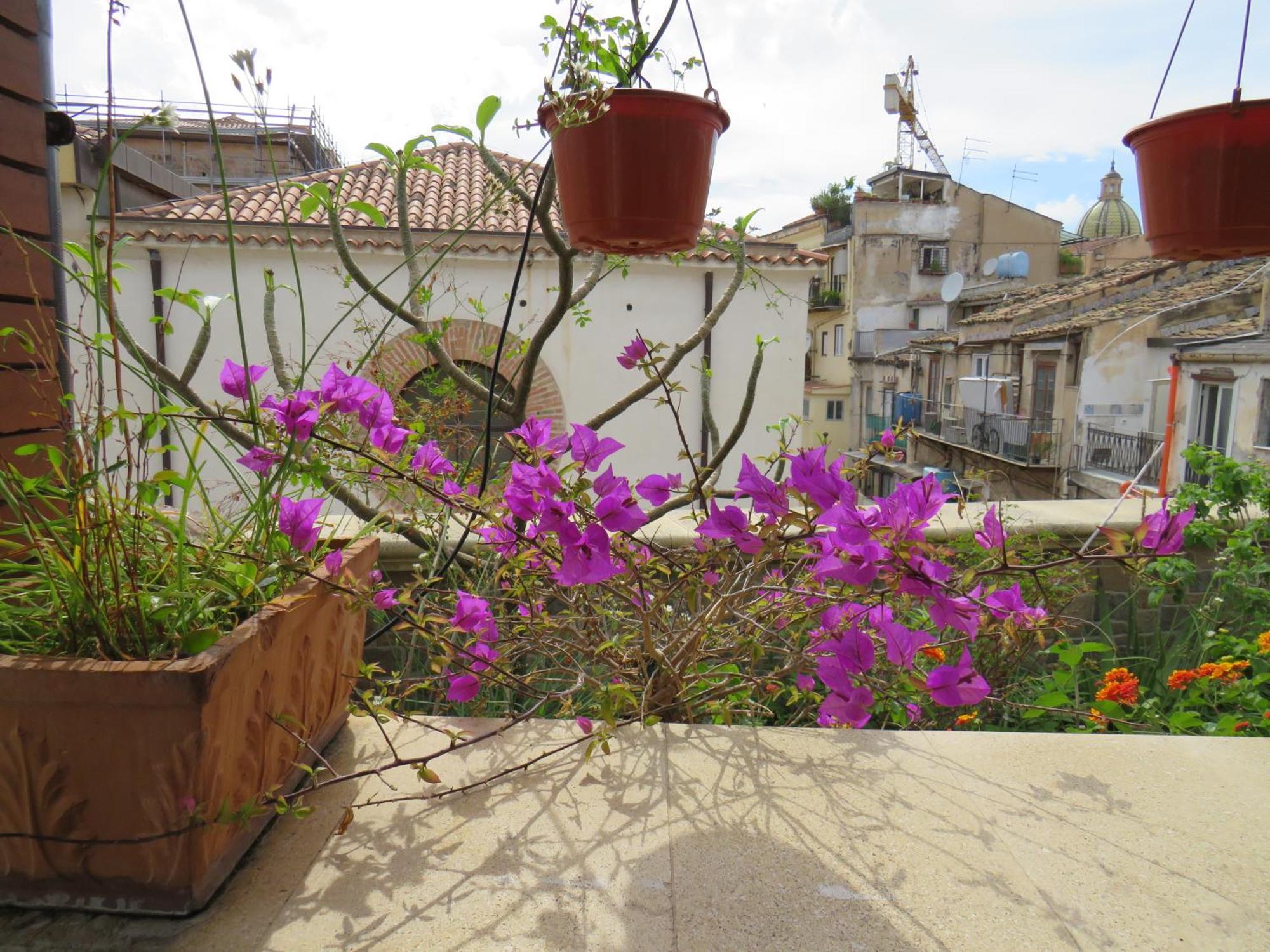 Awesome Terrace And In The Centre Apartment Palermo